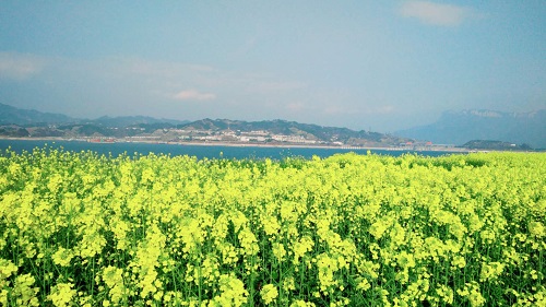 微信图片_20180308172419.jpg 微信图片_20180308172419.jpg