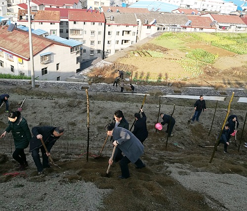 IMG_20180308_084559.jpg IMG_20180308_084559.jpg