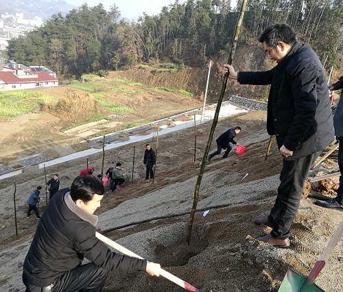 IMG_20180308_084336.jpg IMG_20180308_084336.jpg