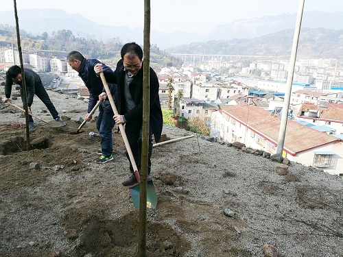 IMG_20180308_084840.jpg IMG_20180308_084840.jpg