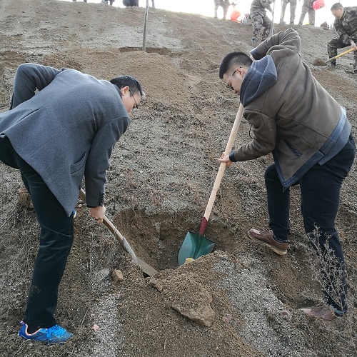 IMG_20180308_085037.jpg IMG_20180308_085037.jpg