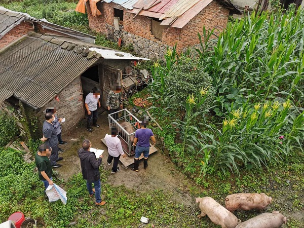 法官现场督促履行义务.jpg 法官现场督促履行义务.jpg