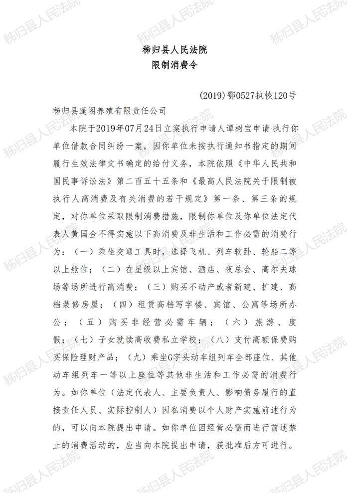 2019执恢120号黄国金限制消费令_00.jpg