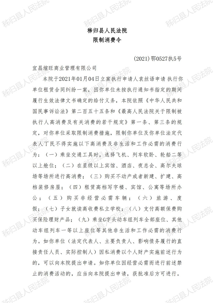2021执5号丁民限制消费令_00.jpg