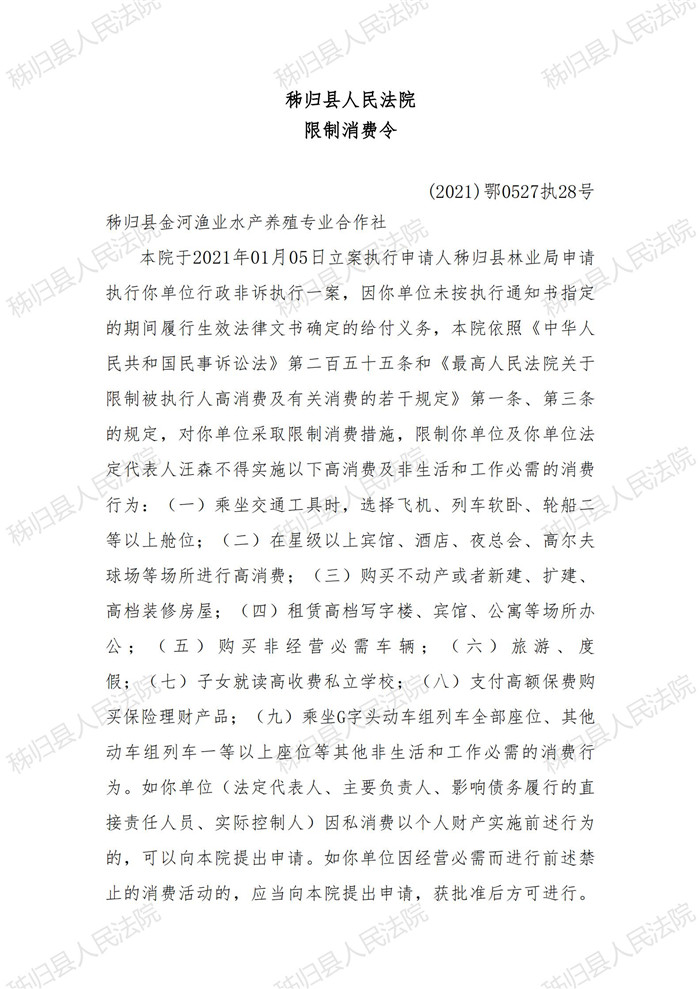2021执28号汪森限制消费令_00.jpg