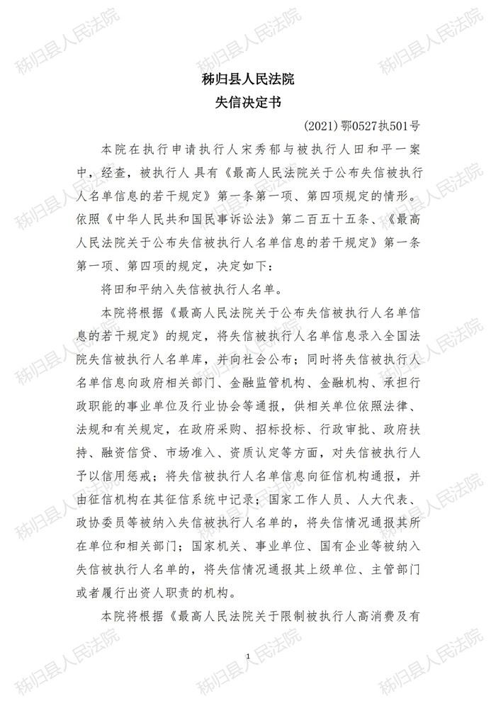 (2021)鄂0527执501号 田和平失信决定书_00.jpg
