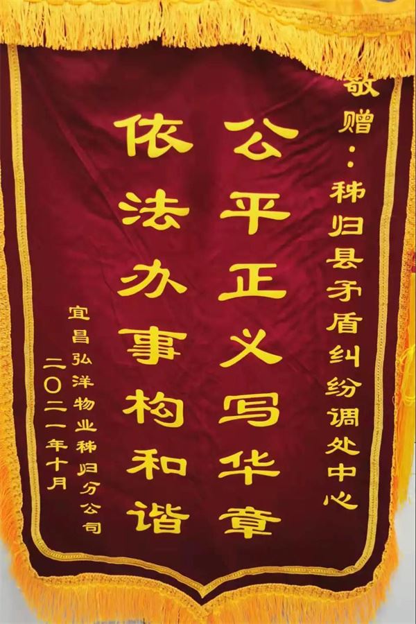 当事人送来锦旗.jpg 当事人送来锦旗.jpg