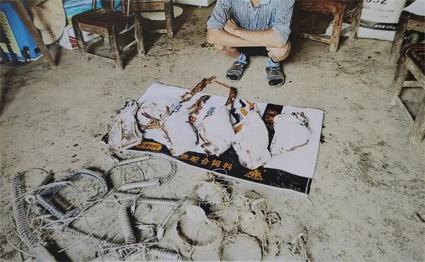 野猪肉和铁夹被民警查获.jpg 野猪肉和铁夹被民警查获.jpg