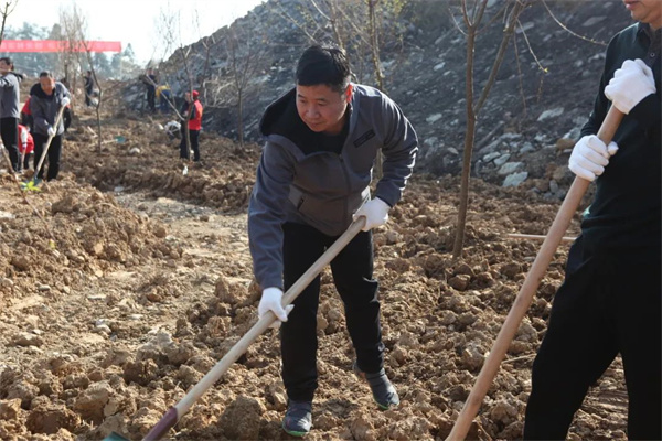 植树现场.jpg
