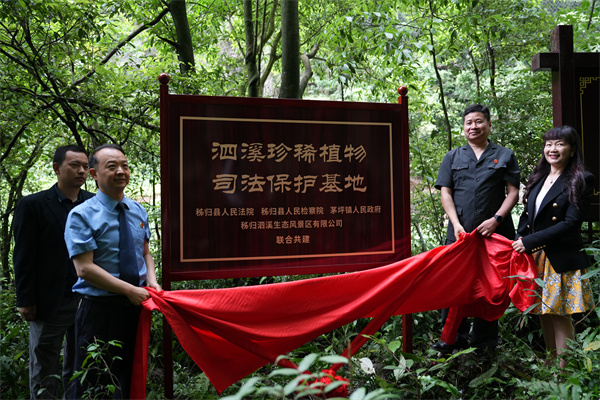 DSC02683.jpg DSC02683.jpg